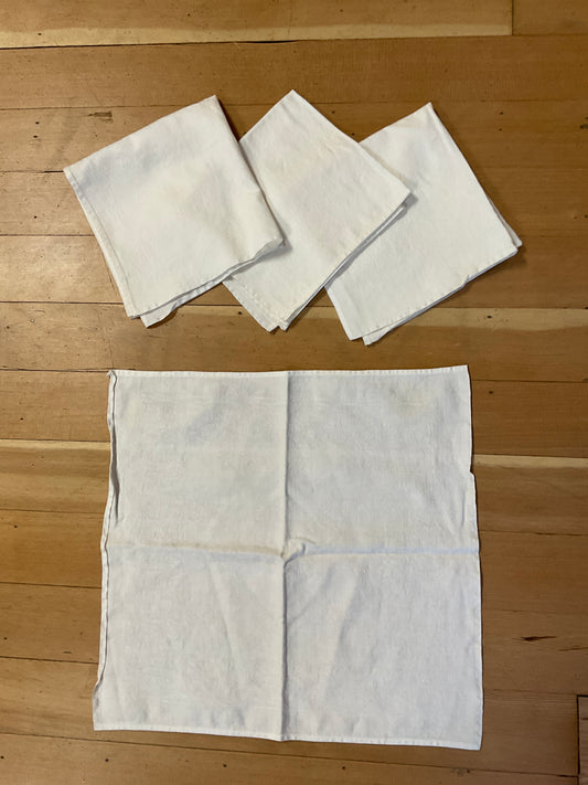 Set of 4 White Cloth Napkins