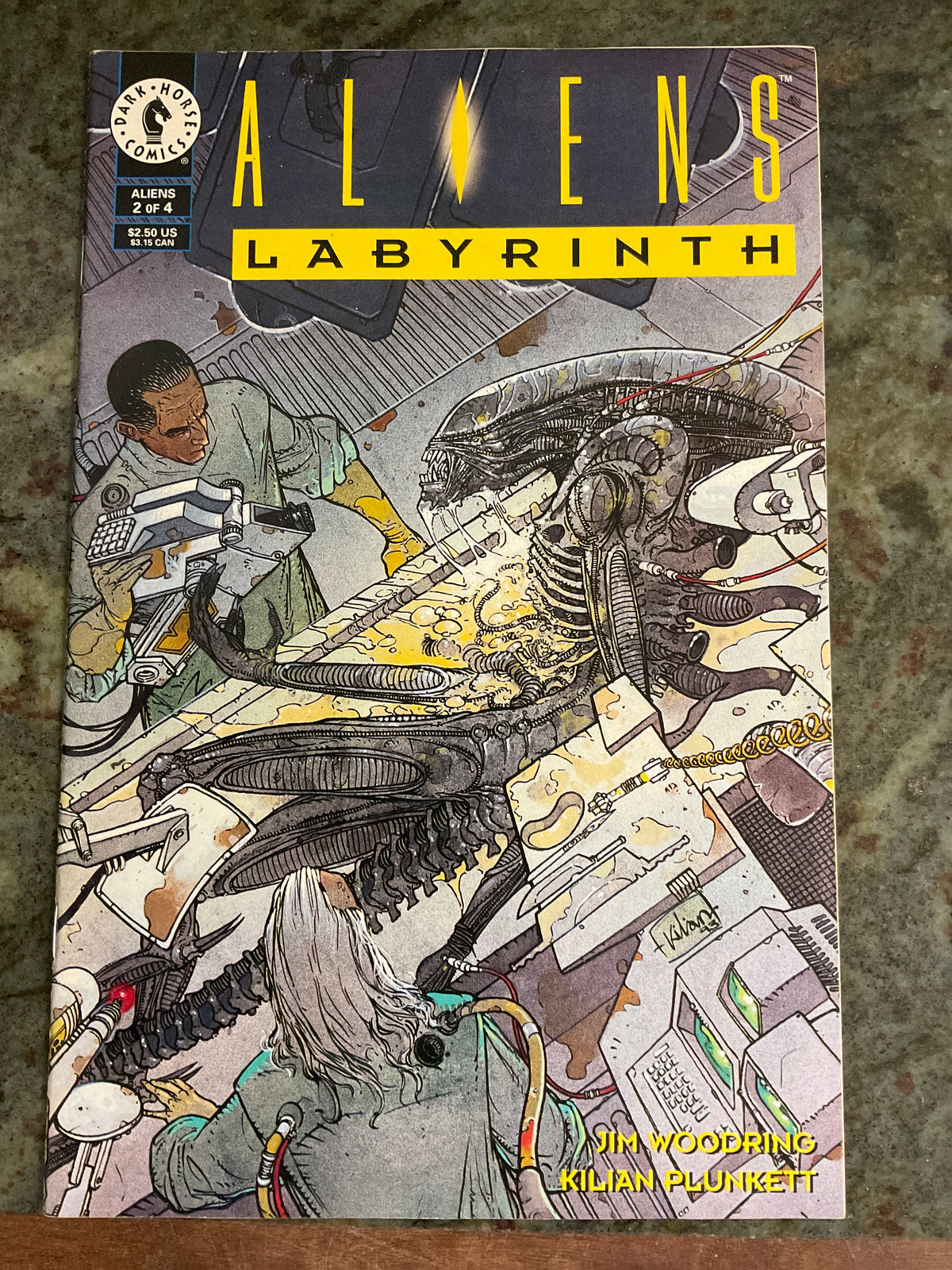 Alien Labyrinth