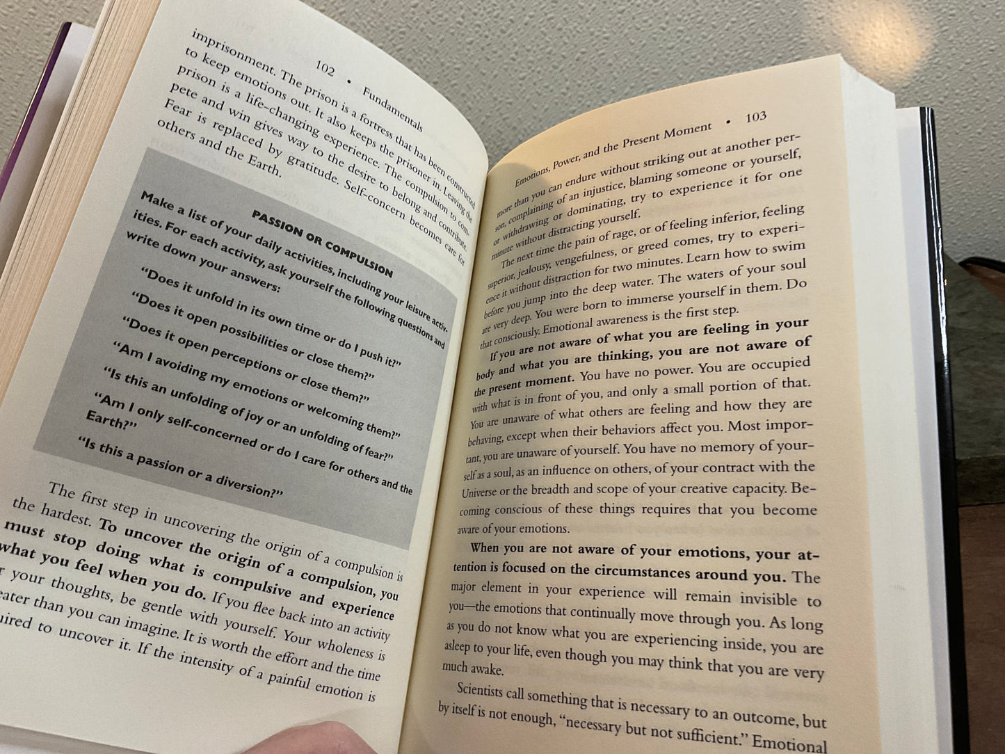 Book The Heart of the Soul/Emotional  Awareness. 2001