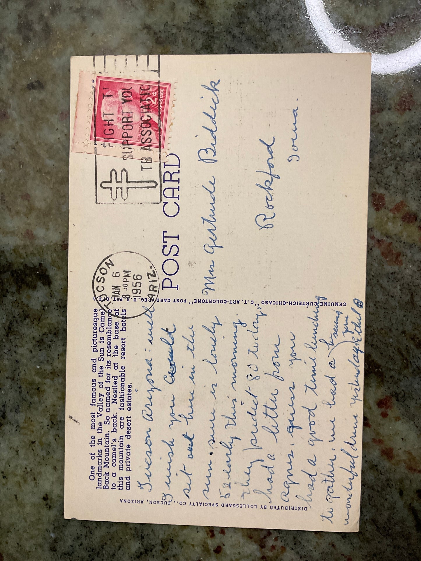 Vintage 1956 Post Card