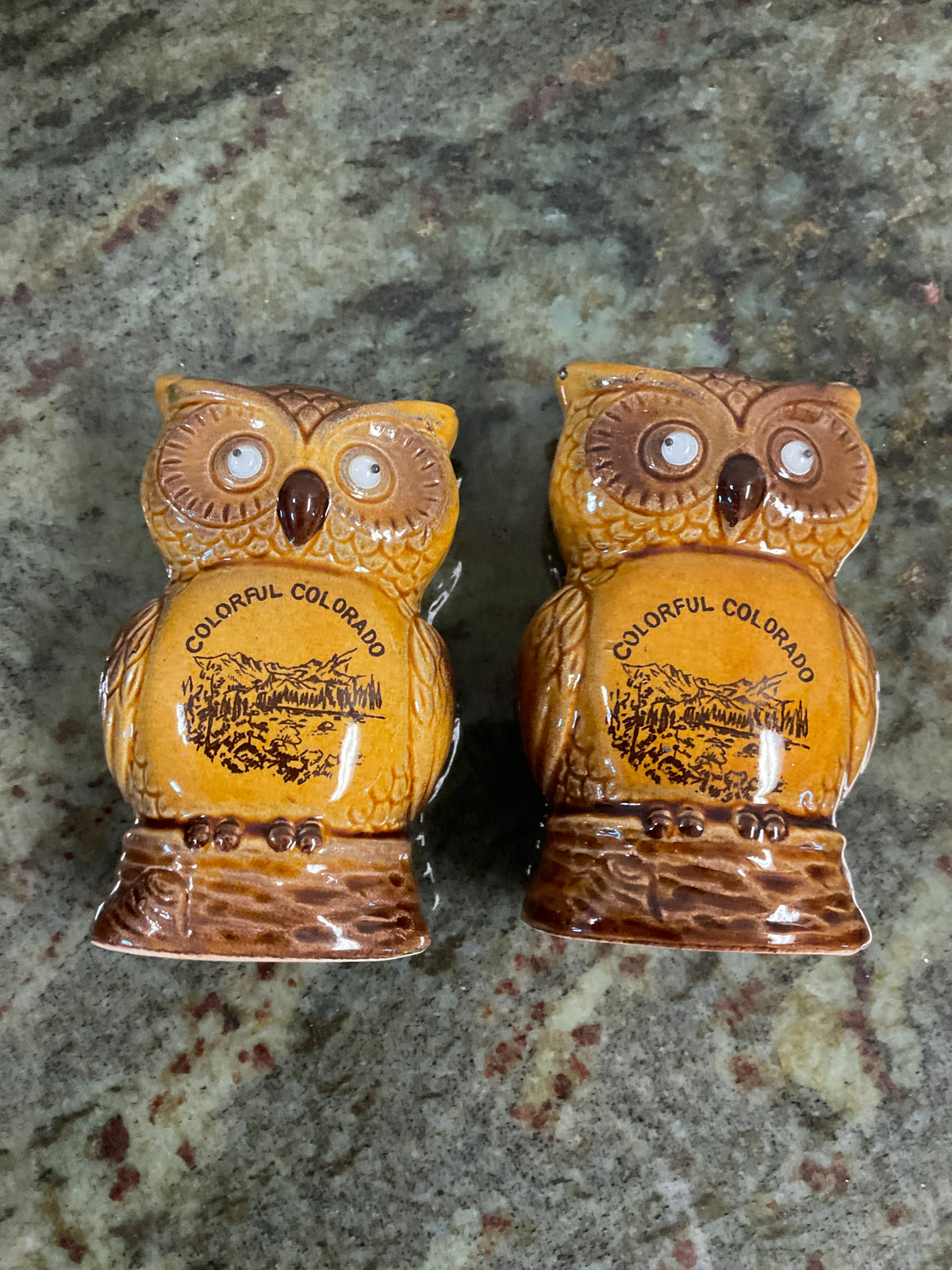 Brown Owl Ceramic Salt & Pepper Shakers