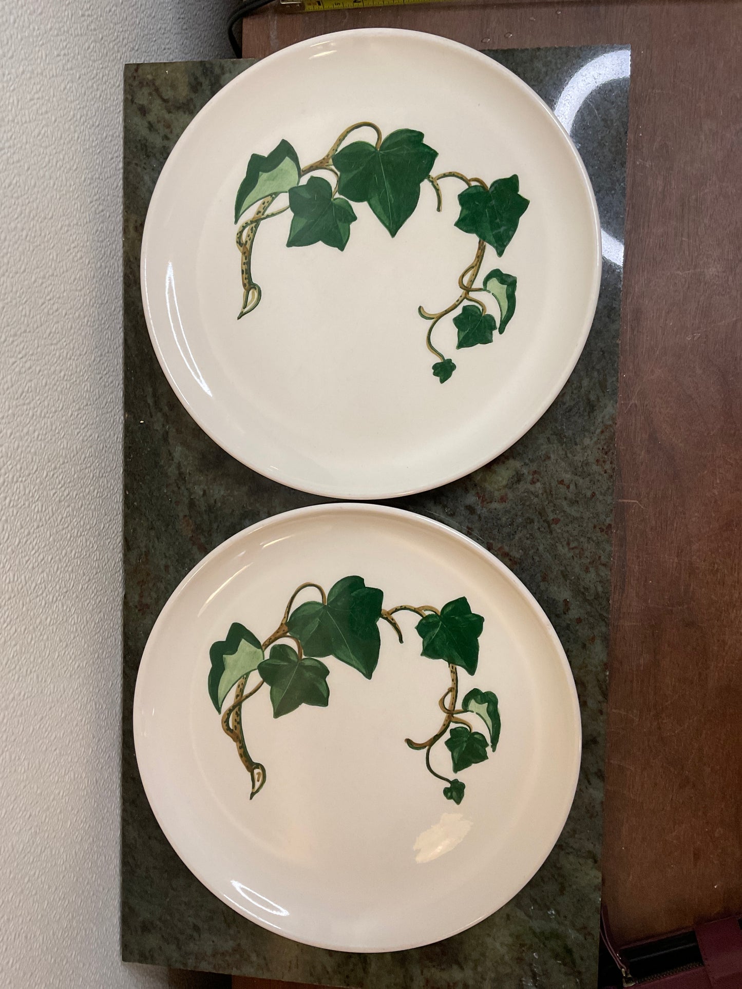 2 California Ivy 10.5” Hand painted Plates