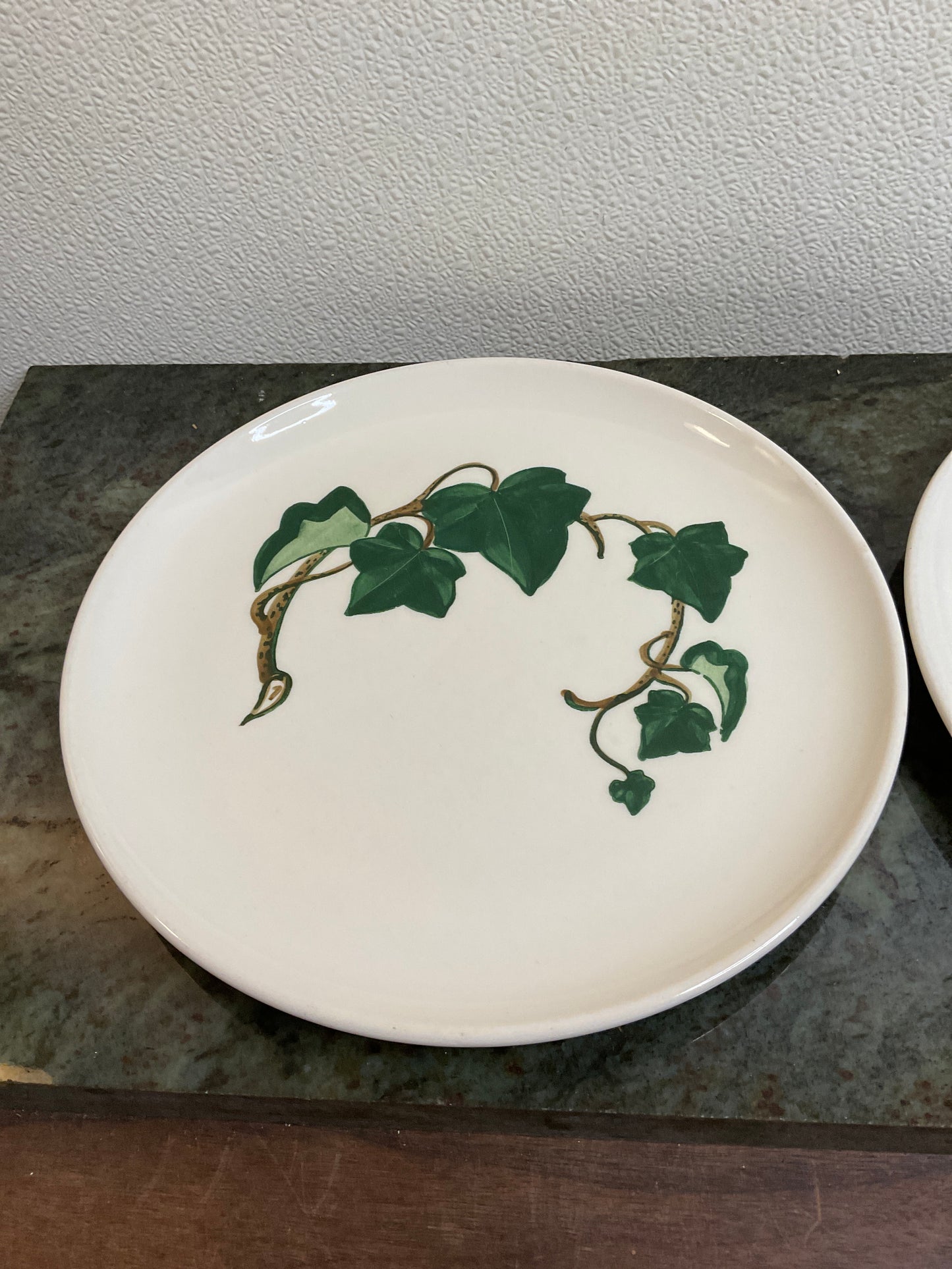 2 California Ivy 10.5” Hand painted Plates