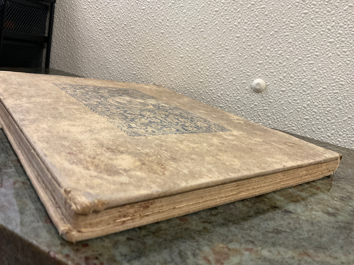 Antique 1897 Natural Elementary Geography