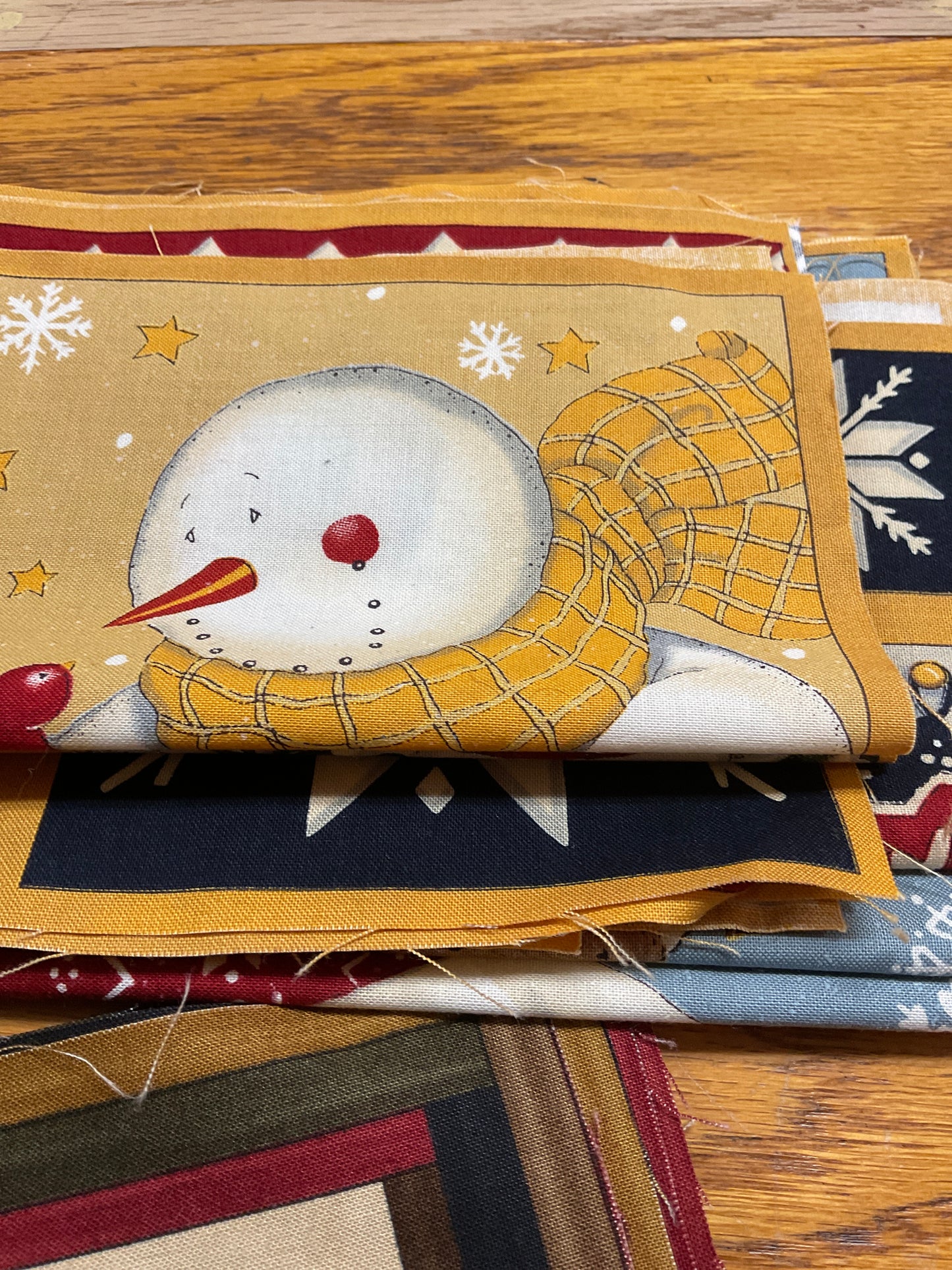 Precut fabric pieces