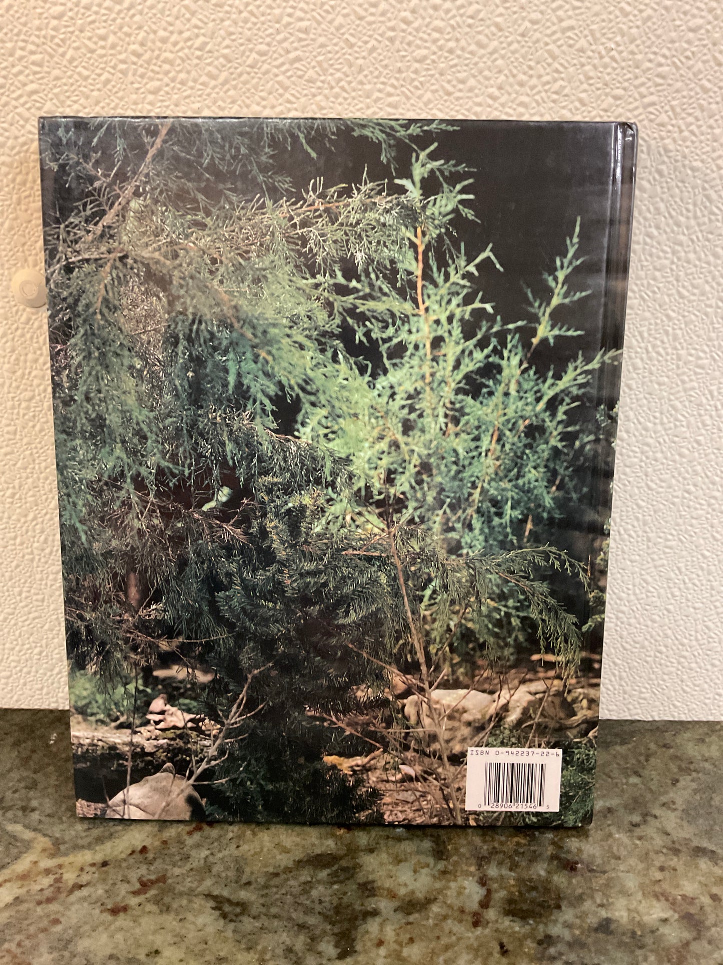 Book The Spirit of Christmas 1993