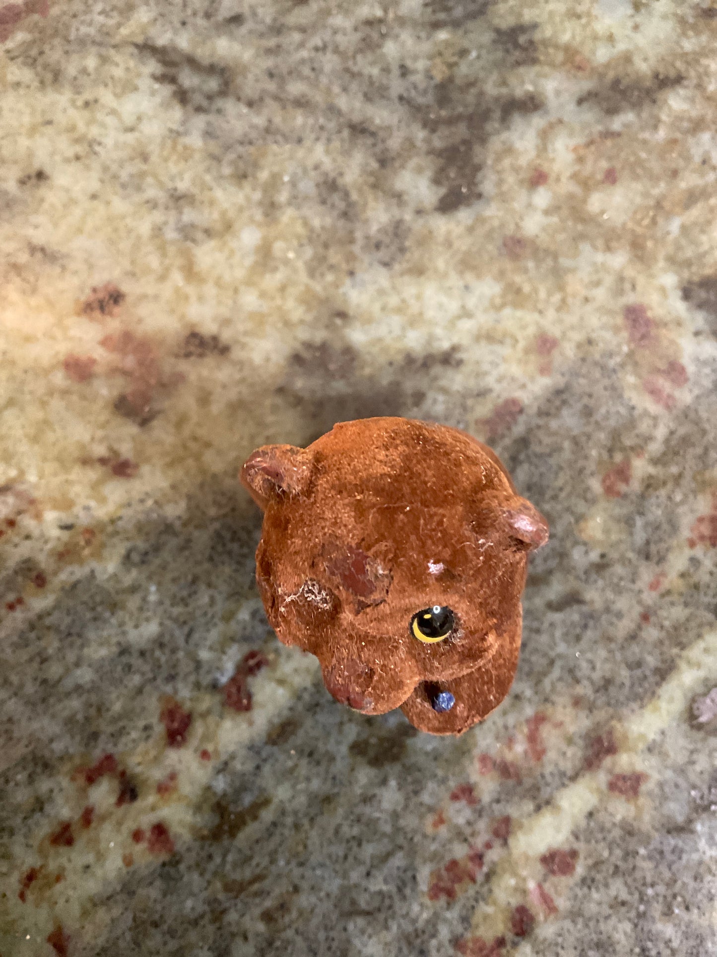 Don James Sm Teddy Bear