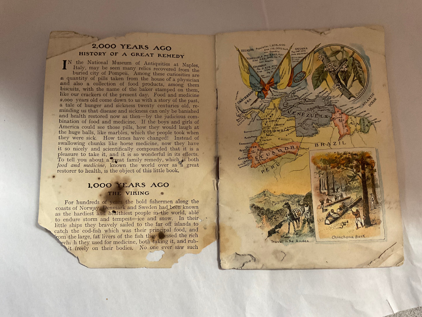 Illustrated Atlas of South America