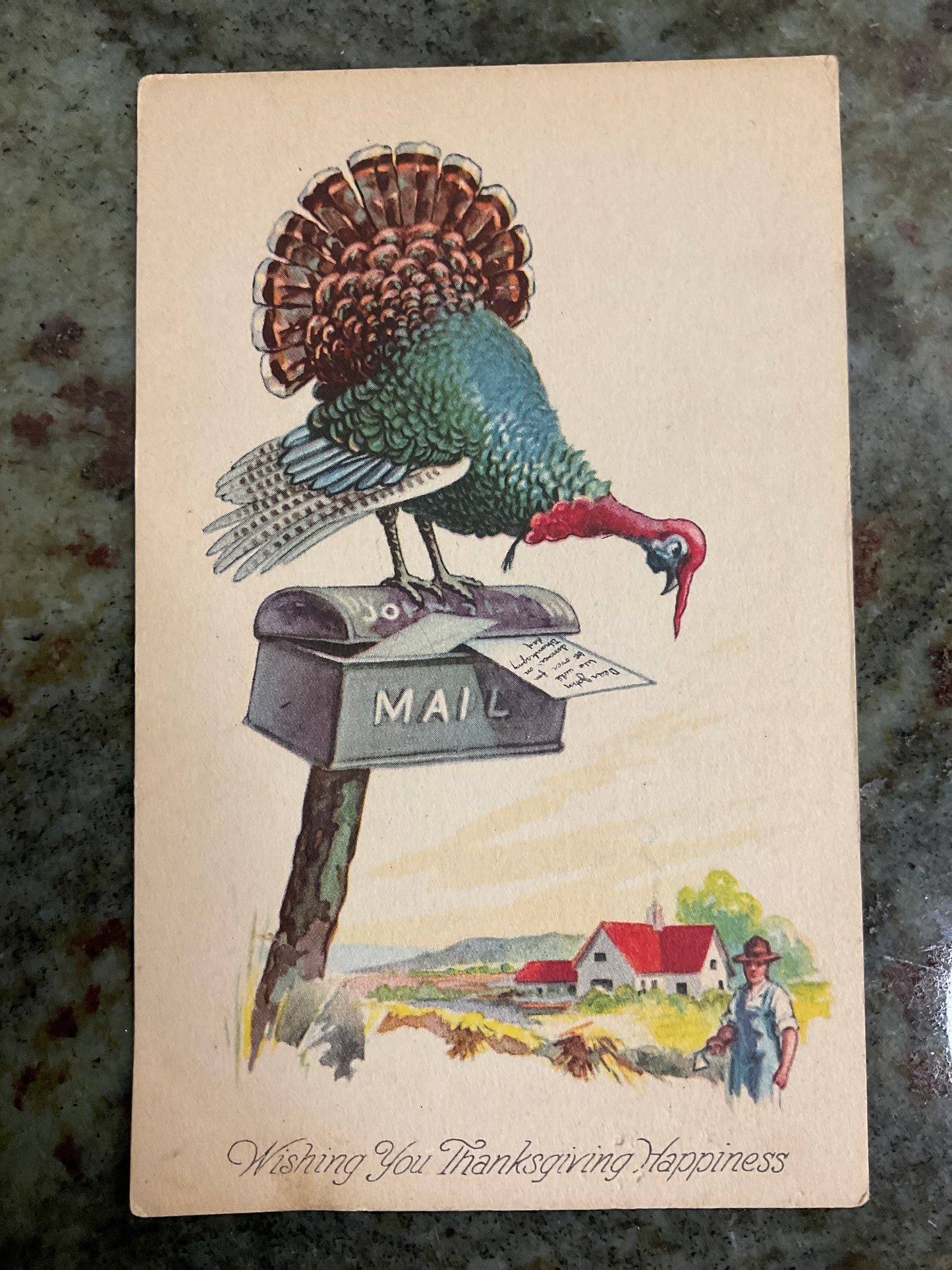 Vintage Post Card