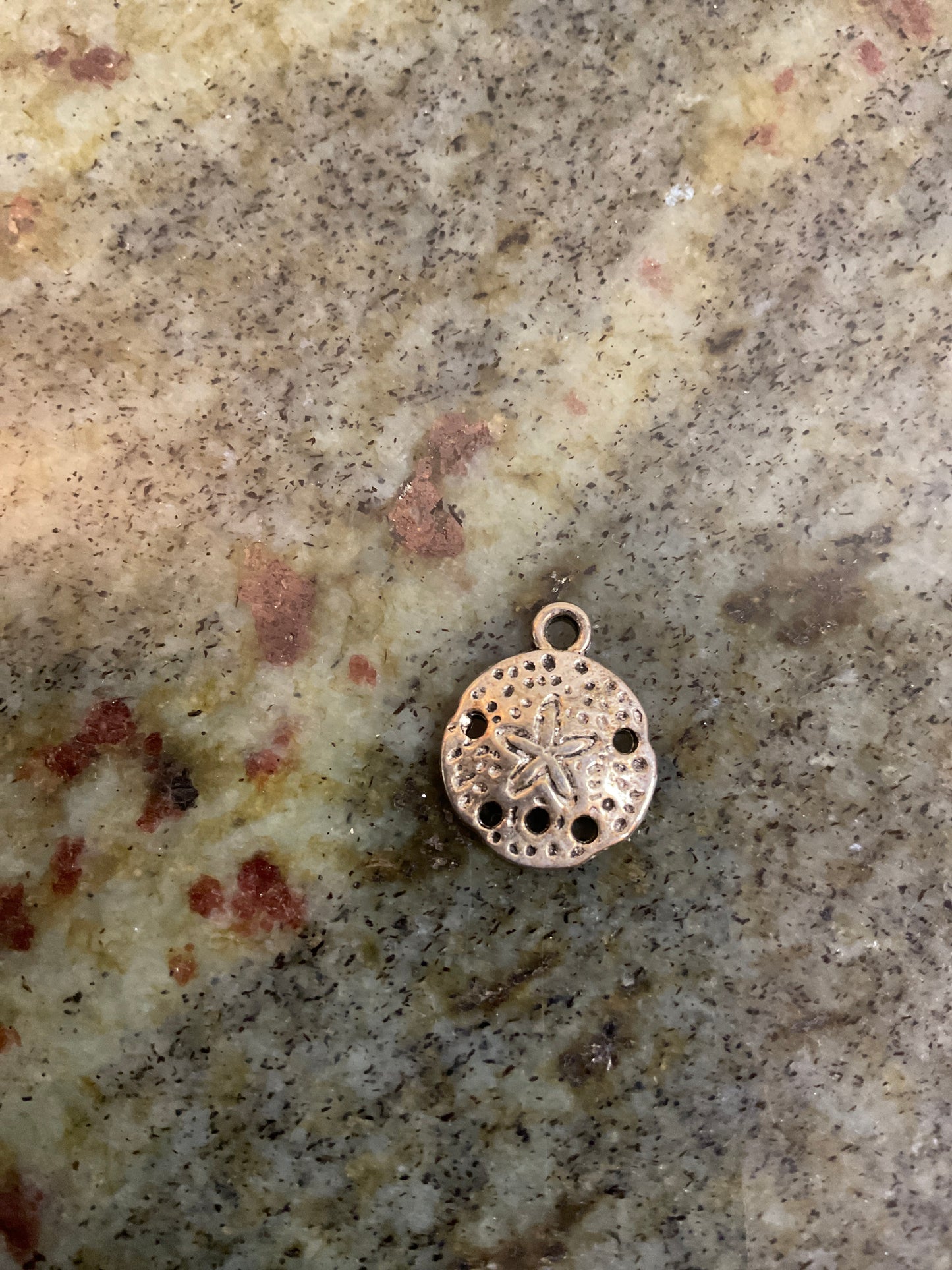 Silvertone Metal Sand Dollar Charm/Pendant