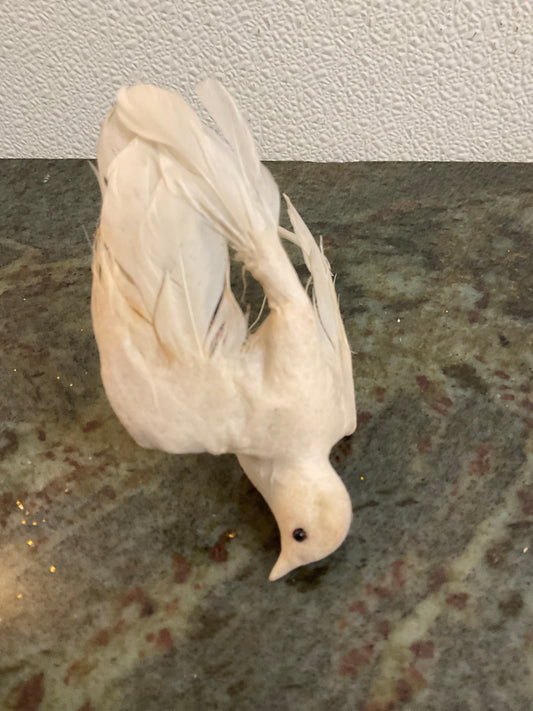 White Bird
