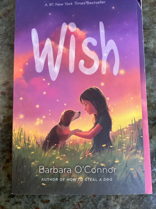 Book: Wish