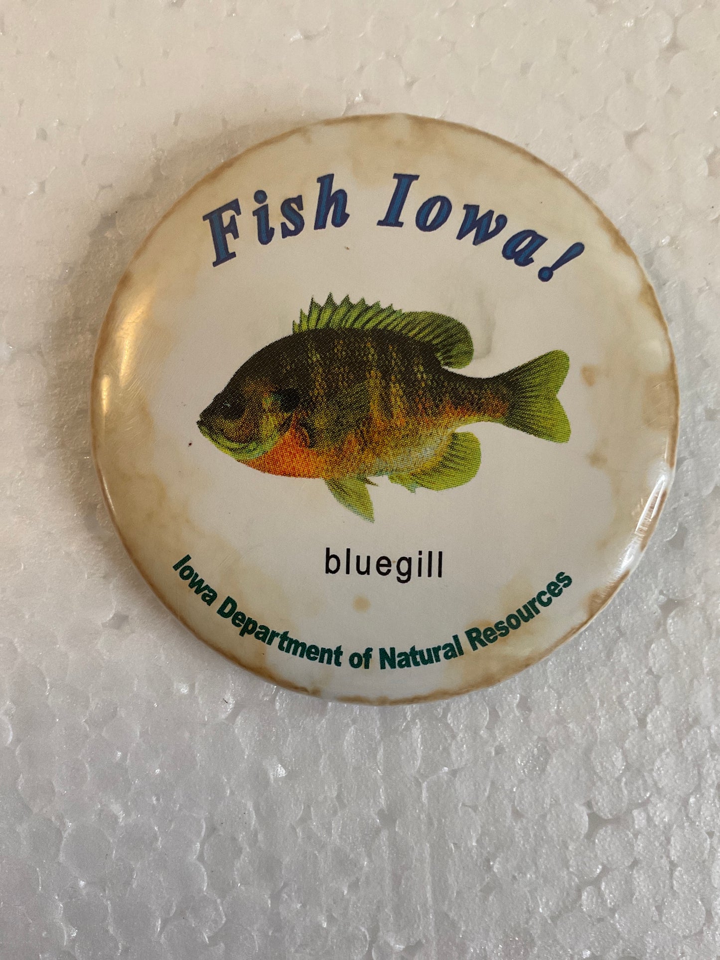 Fish Iowa! Bluegill Pin Iowa DNR