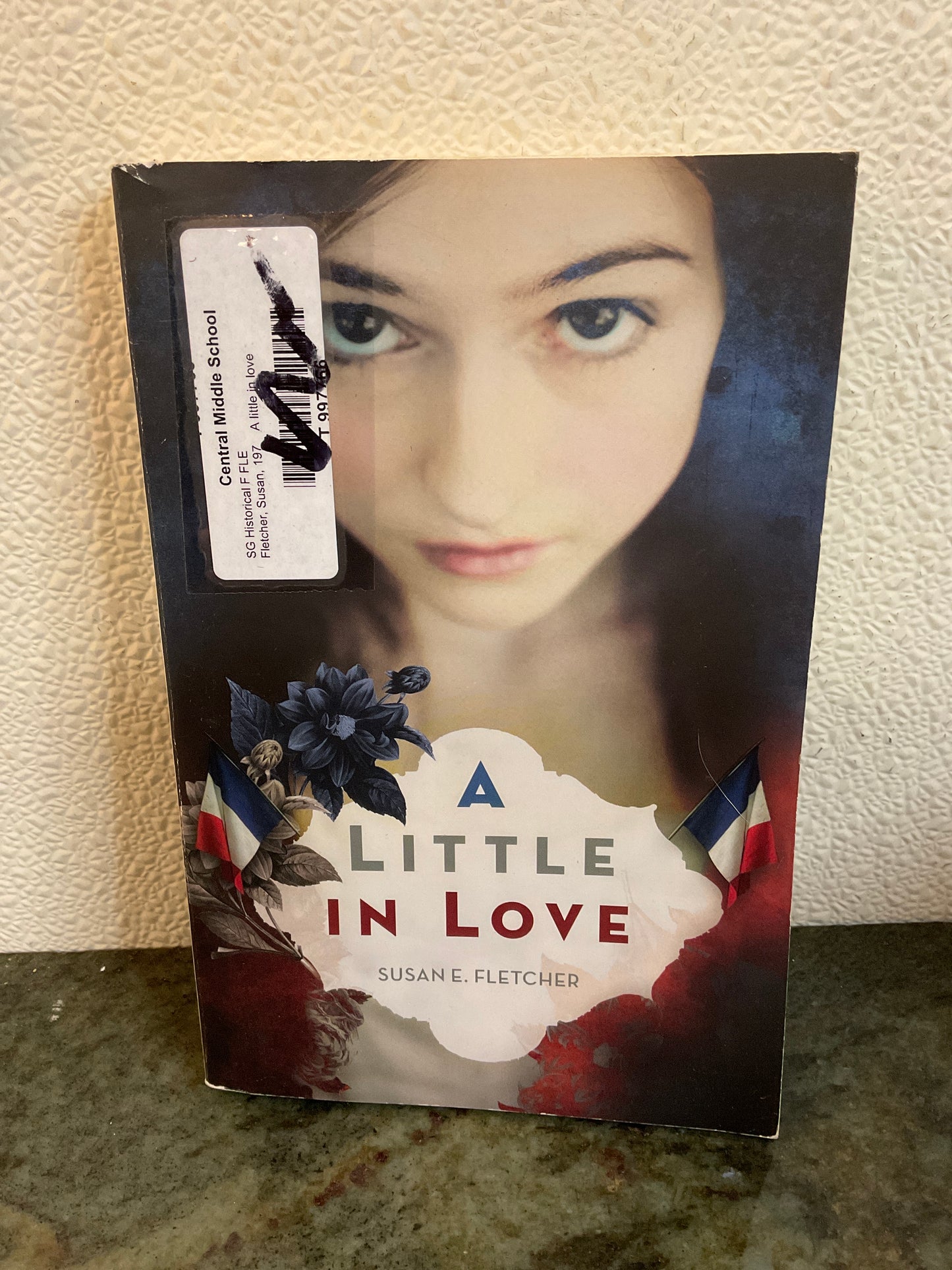 Book 2015 A Little In Love